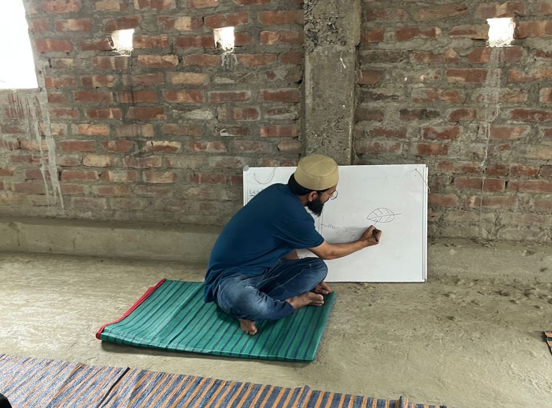 Mentoring By Doctors